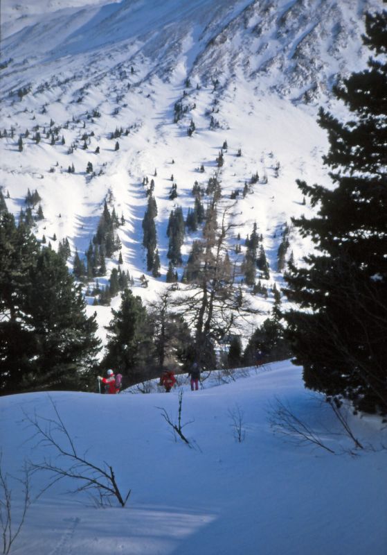 Talkenschrein, Idlereck, Rettlkirchspitze (367 Bildaufrufe)