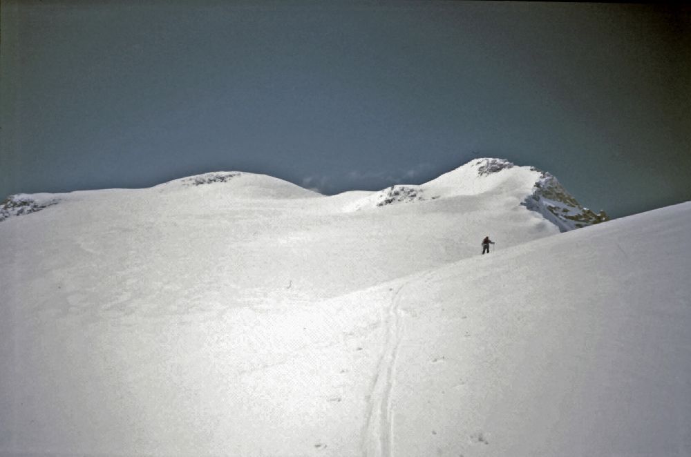 Hochalmspitze, Ankogel (275 Bildaufrufe)