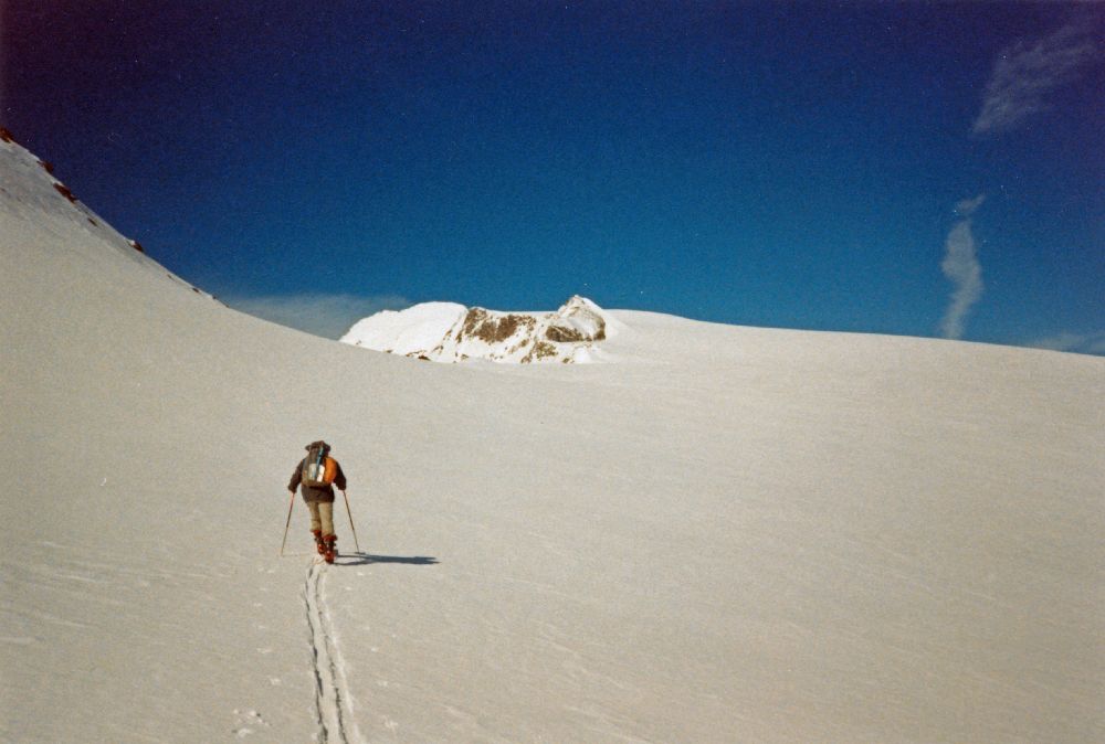 Hochalmspitze, Ankogel (278 Bildaufrufe)