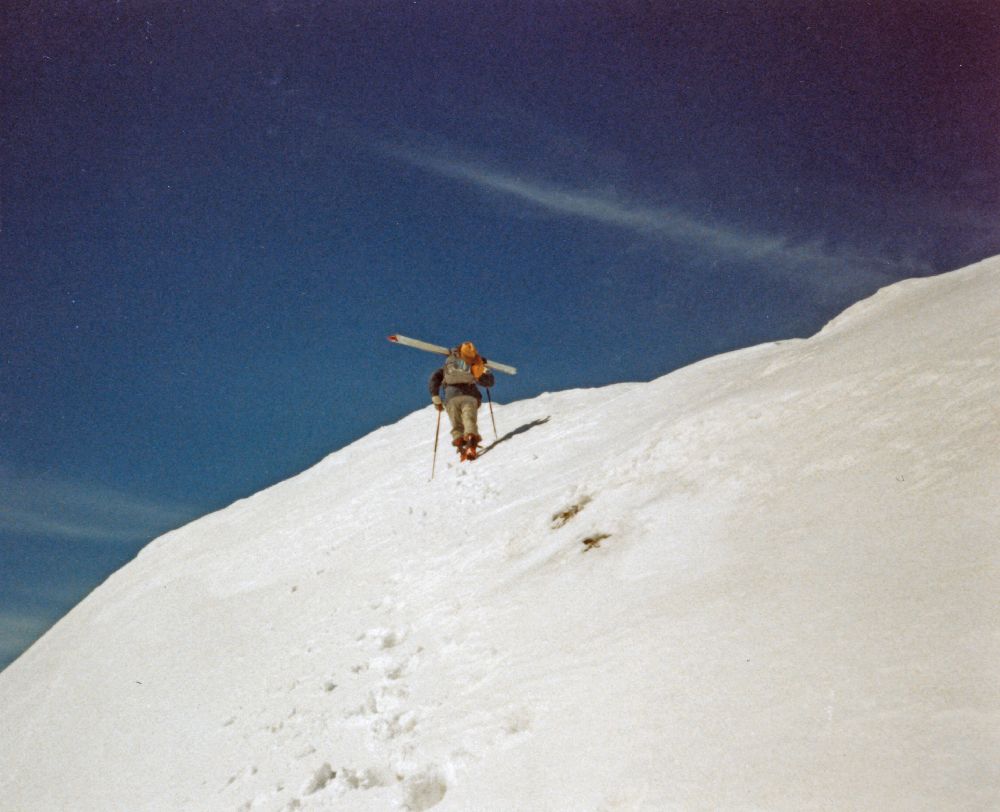 Hochalmspitze, Ankogel (277 Bildaufrufe)