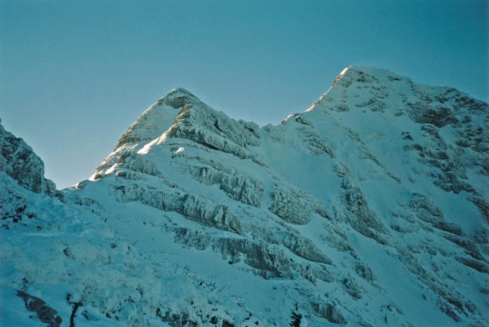 Gr.Ötscher (241 Bildaufrufe)