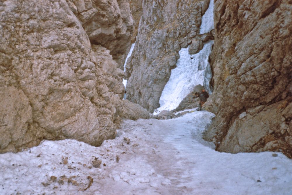 Veitsch - Hasenkogel, Veitsch - Seebodenkogel (482 Bildaufrufe)