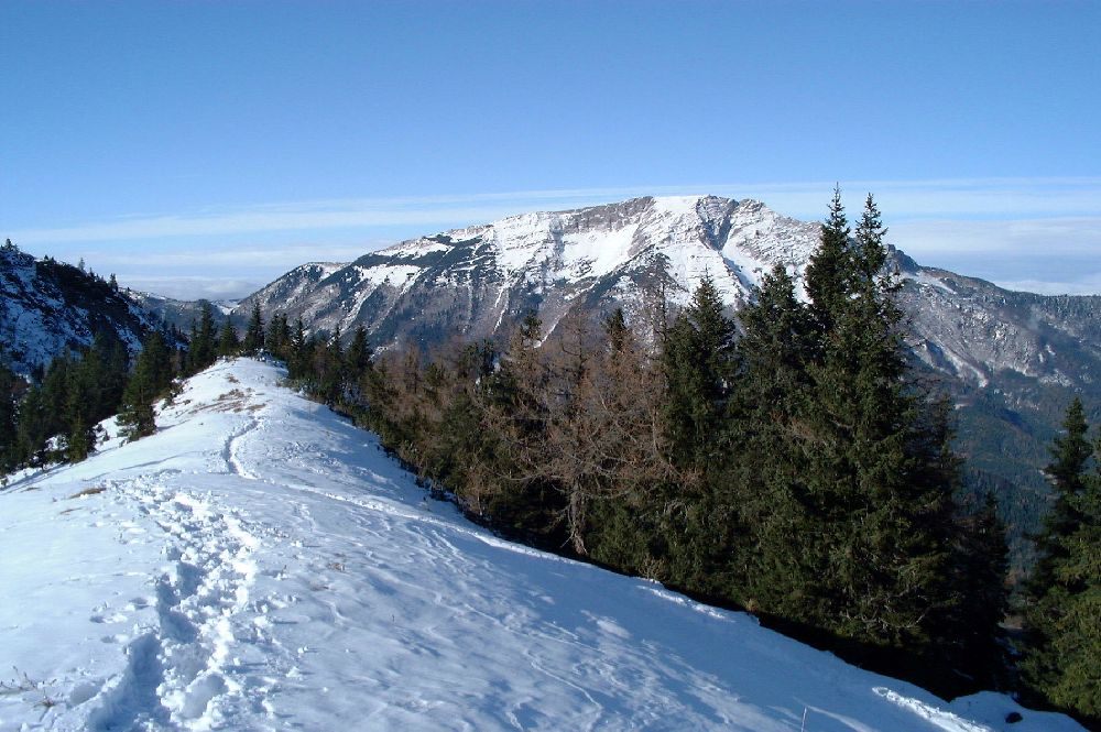Gemeindealpe (227 Bildaufrufe)