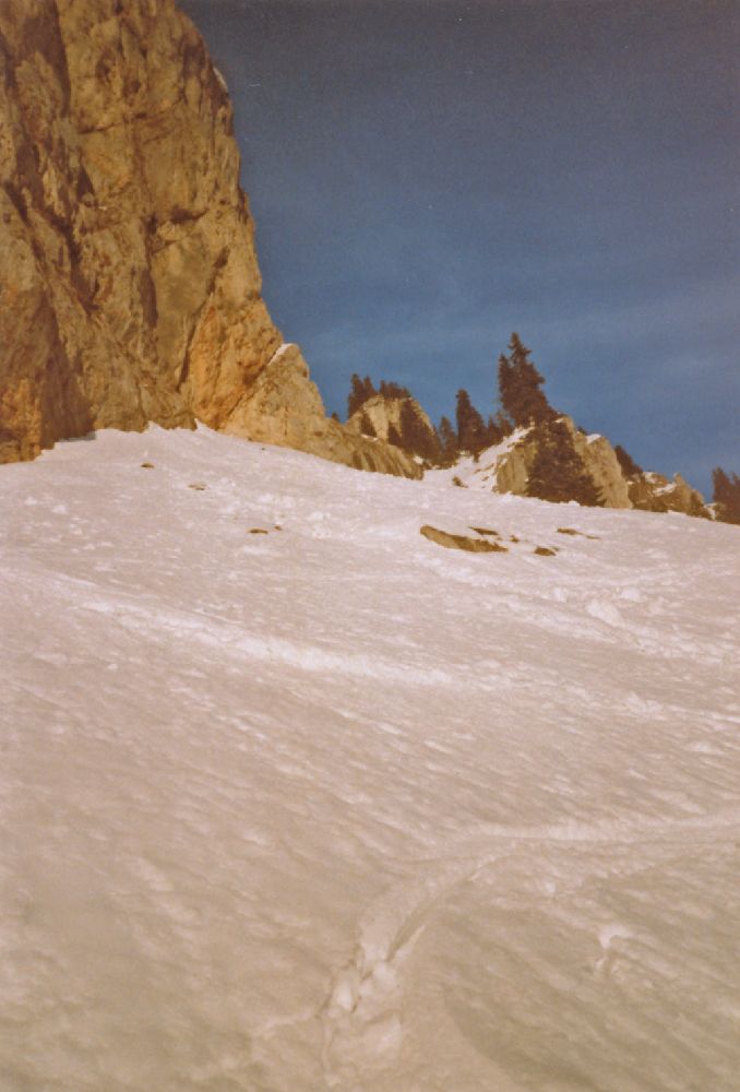 Kaiserstein, Schneeberg (317 Bildaufrufe)