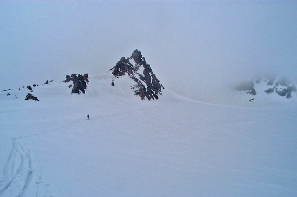 Weißkugel (224 Bildaufrufe)