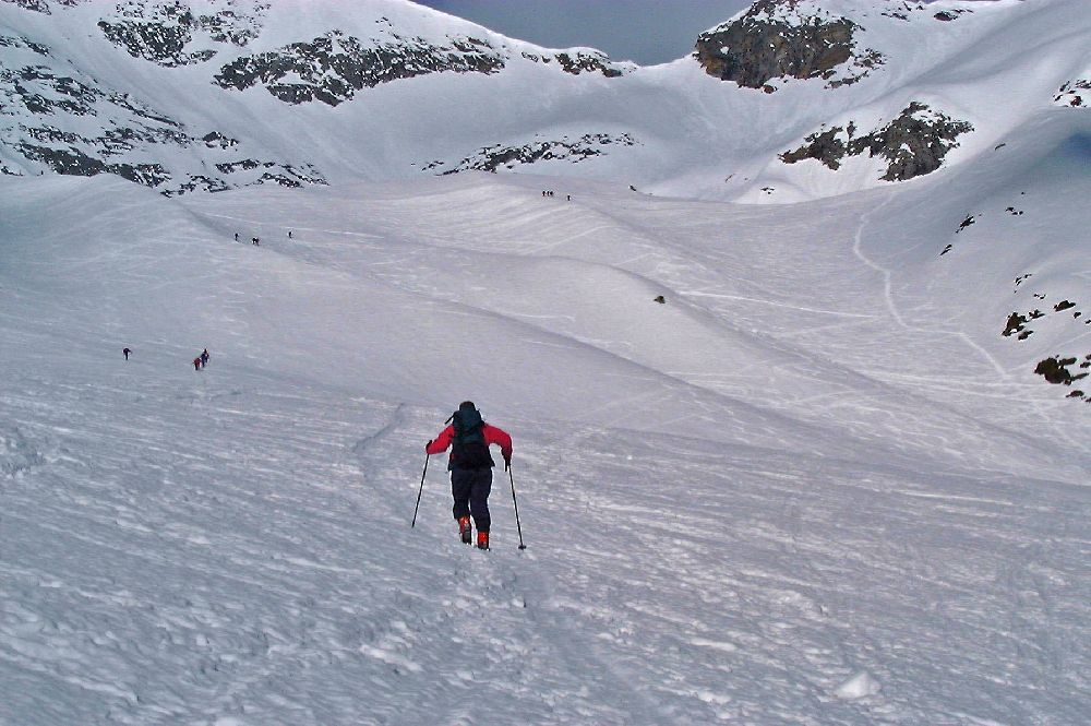 Hocharn (237 Bildaufrufe)