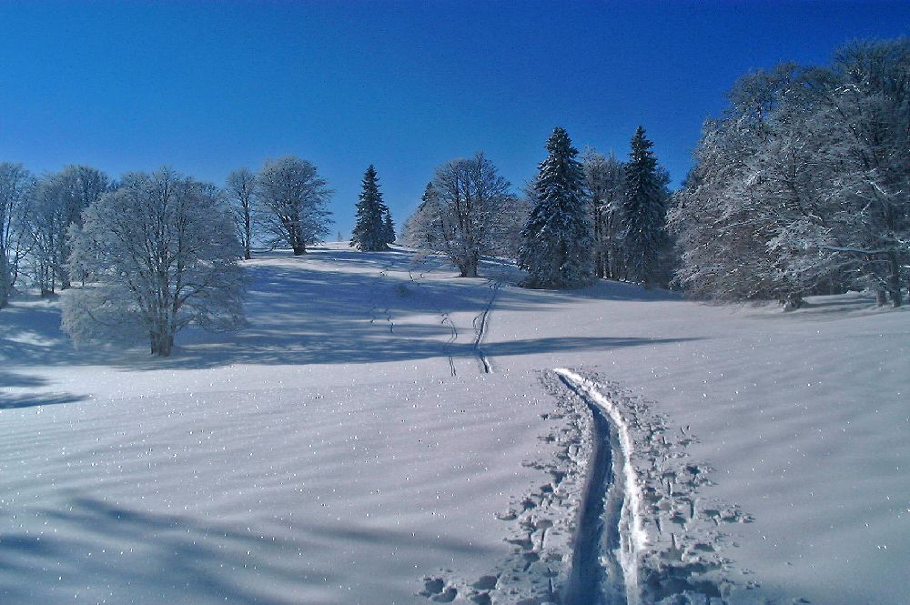 Geißenberg (255 Bildaufrufe)