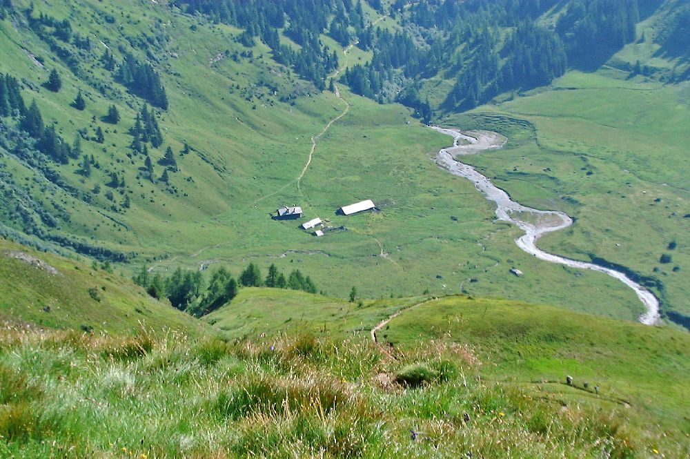 Bauernbrachkopf (245 Bildaufrufe)