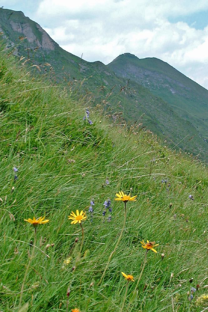 Bauernbrachkopf (189 Bildaufrufe)