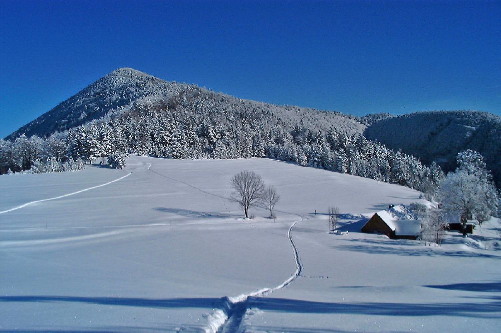 Eisenstein (260 Bildaufrufe)