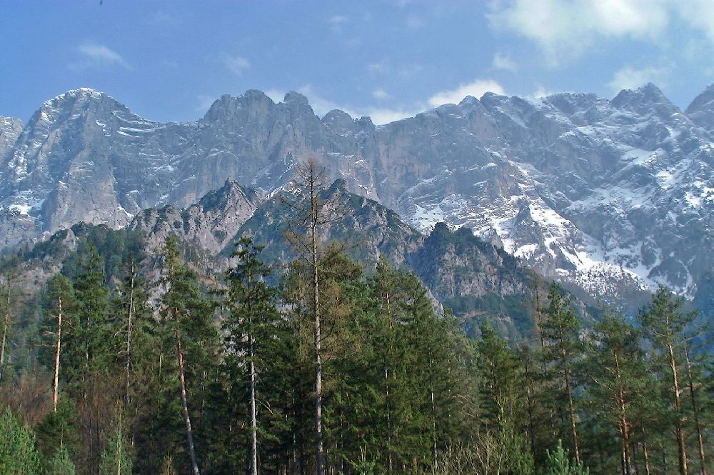 Stadelfeldschneid, Gsuchmauer, Hochhäusel (373 Bildaufrufe)