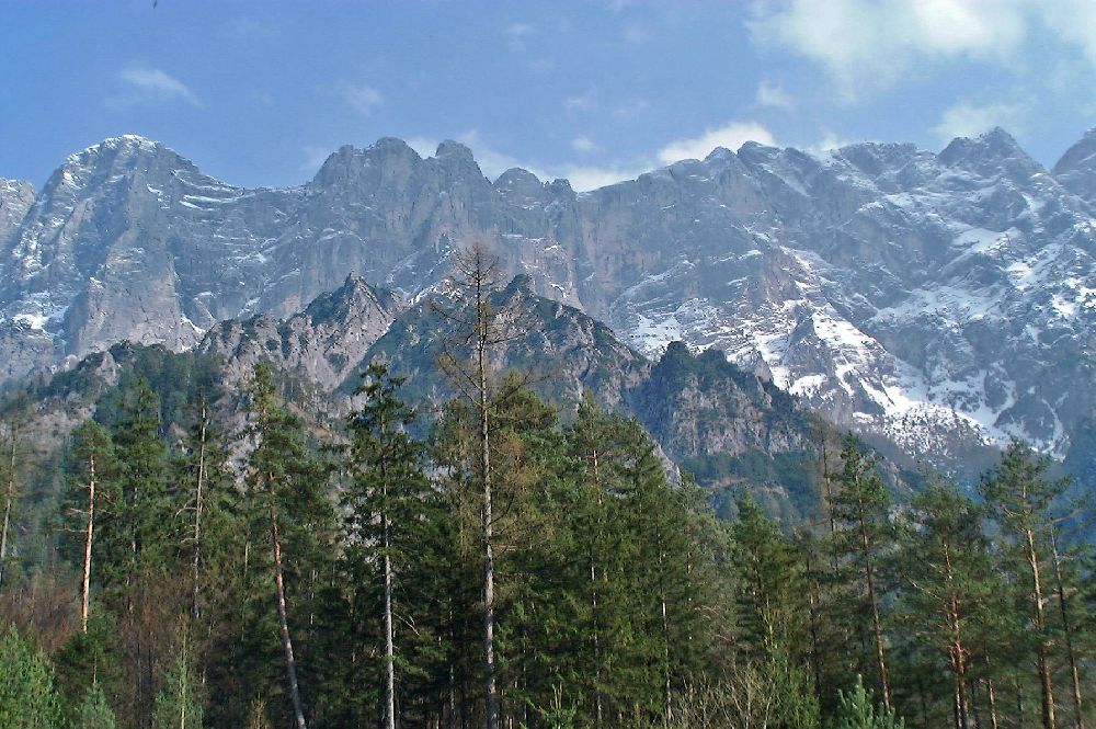 Stadelfeldschneid, Gsuchmauer, Hochhäusel (323 Bildaufrufe)