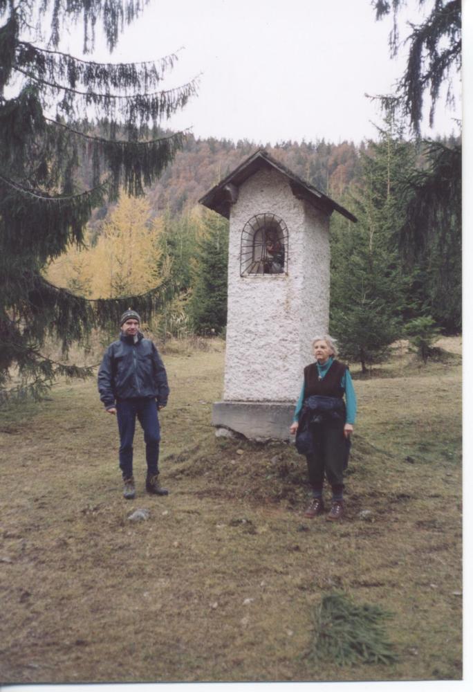 Sabel (196 Bildaufrufe)