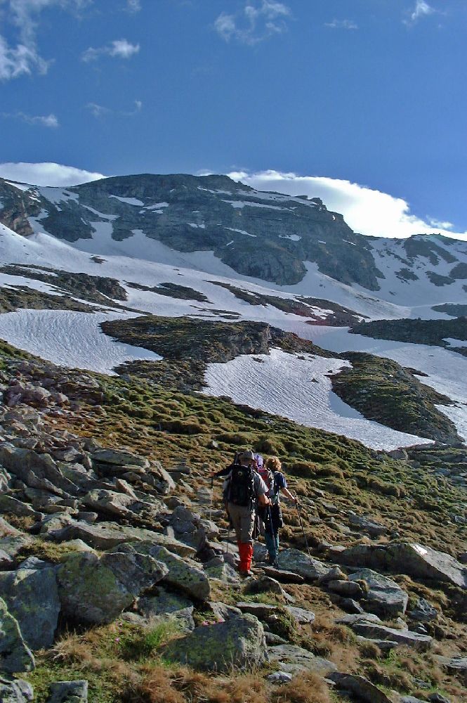 Gr.Hafner (249 Bildaufrufe)