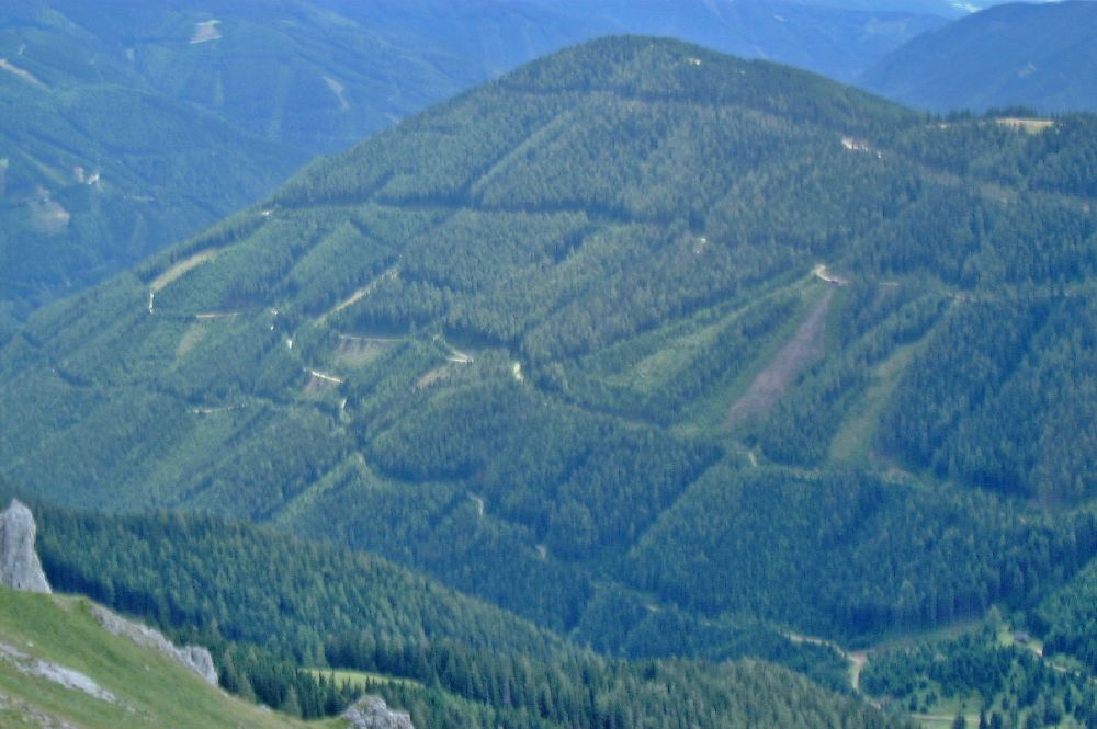 Hochturm (210 Bildaufrufe)