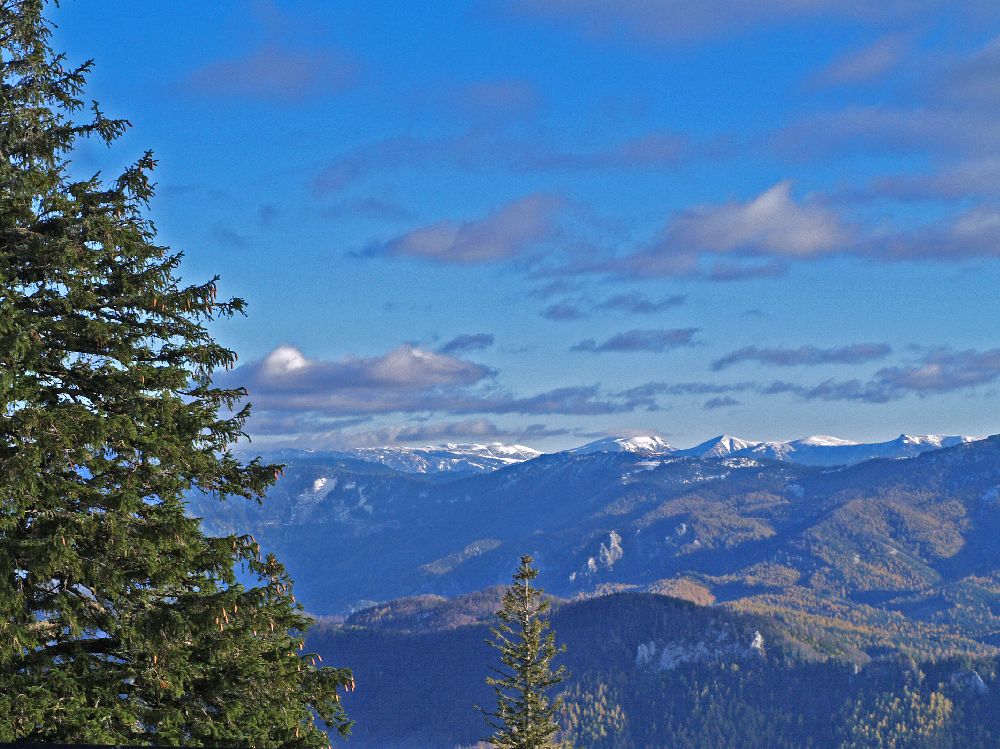 Tirolerkogel (252 Bildaufrufe)