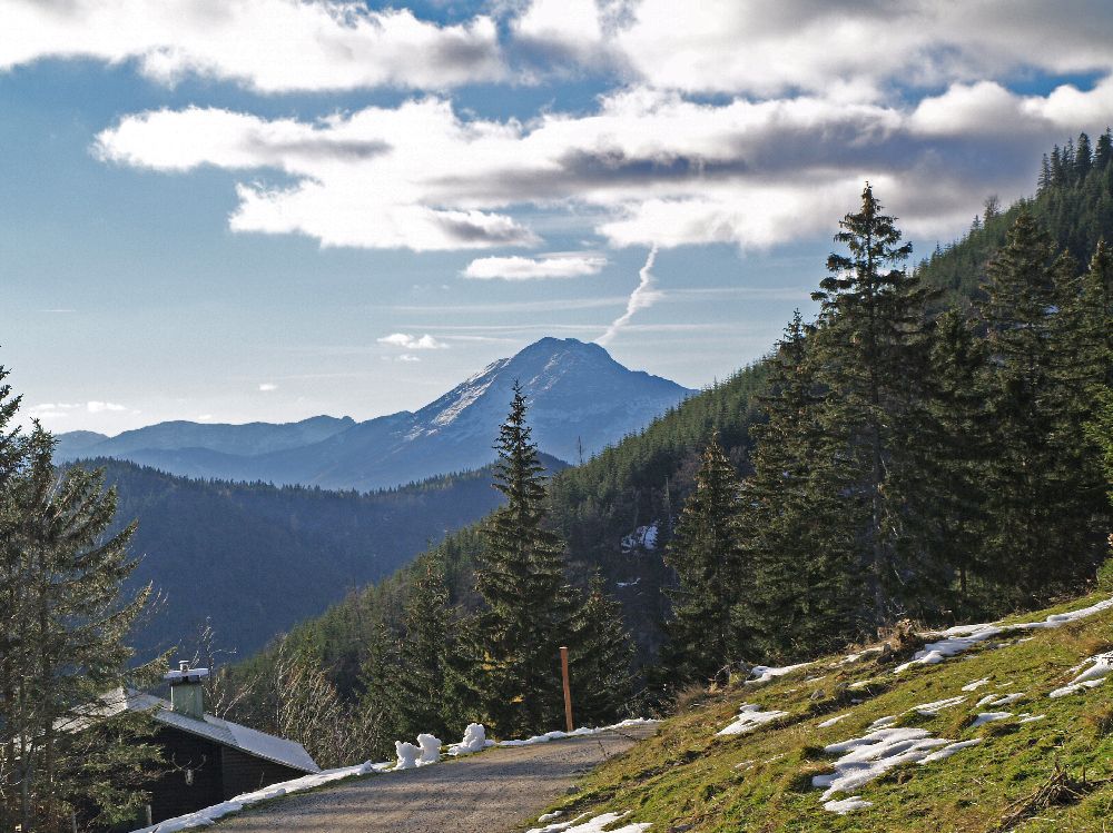 Tirolerkogel (180 Bildaufrufe)