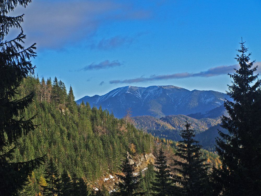 Tirolerkogel (205 Bildaufrufe)