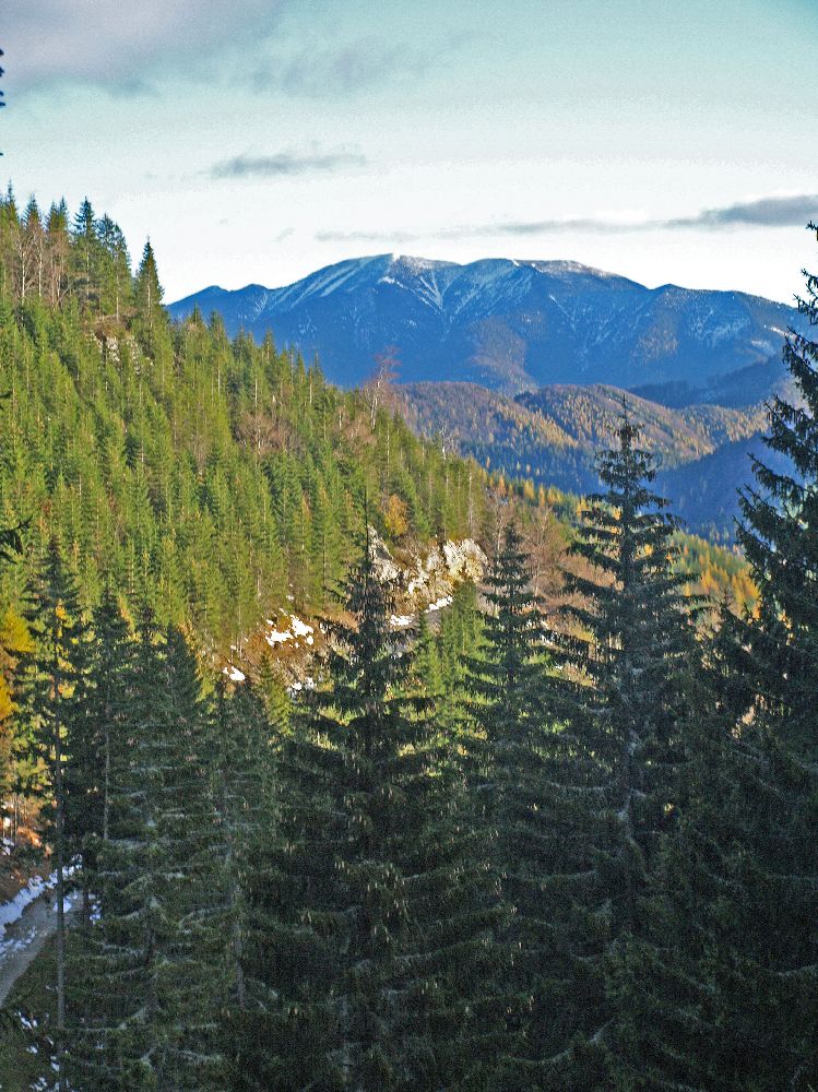 Tirolerkogel (274 Bildaufrufe)