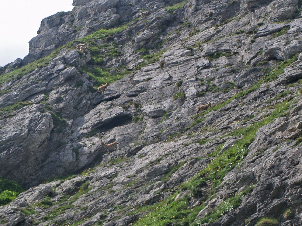 Hochschwab (321 Bildaufrufe)