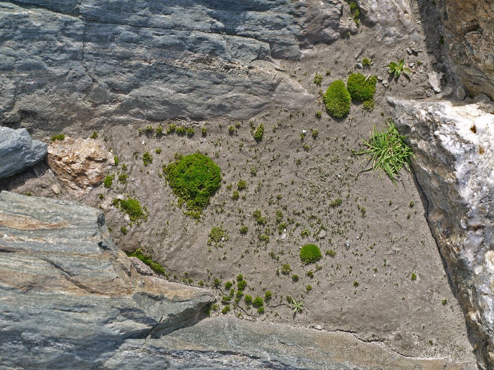 Hoher Sonnblick (238 Bildaufrufe)