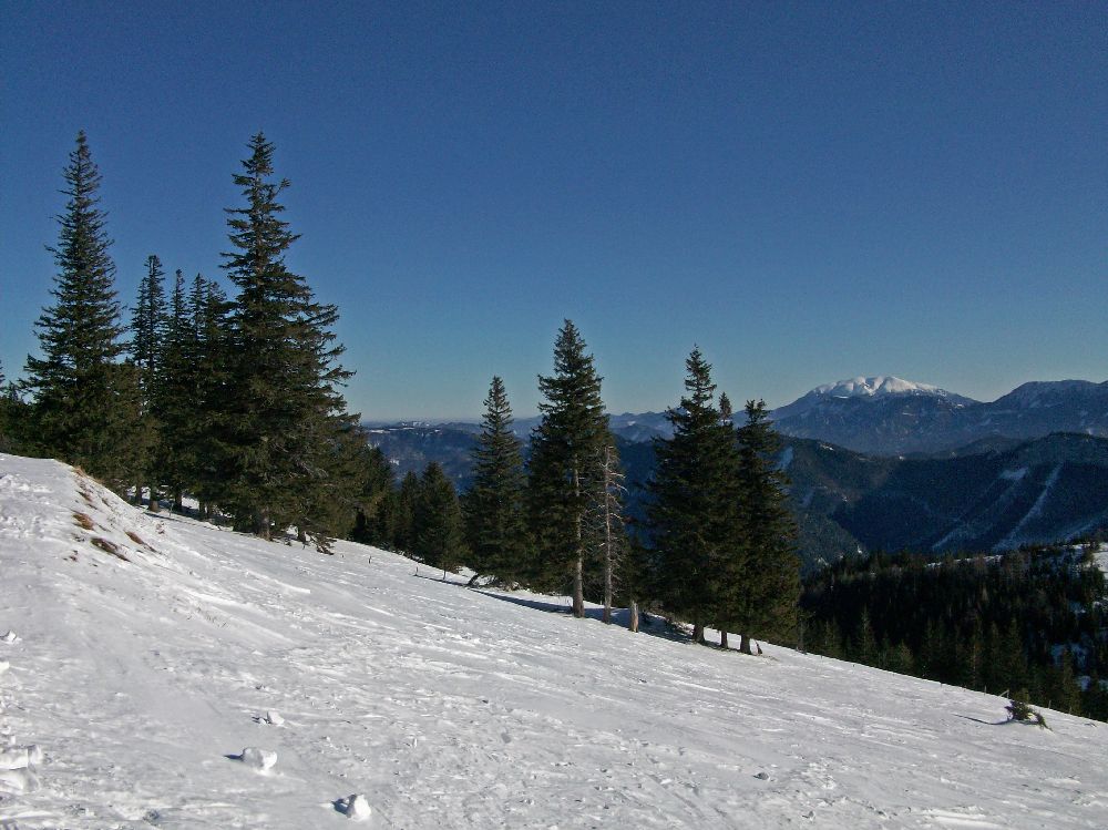 Tirolerkogel (195 Bildaufrufe)