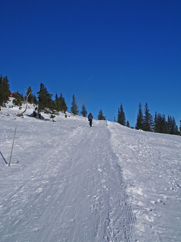 Tirolerkogel (247 Bildaufrufe)