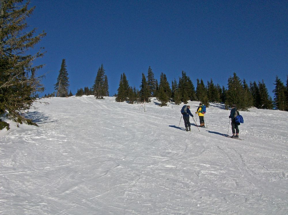 Tirolerkogel (211 Bildaufrufe)