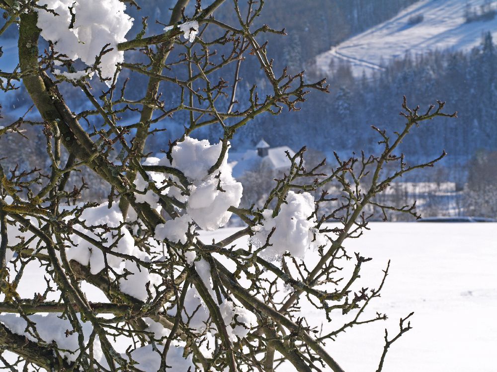Rudolfshöhe (184 Bildaufrufe)