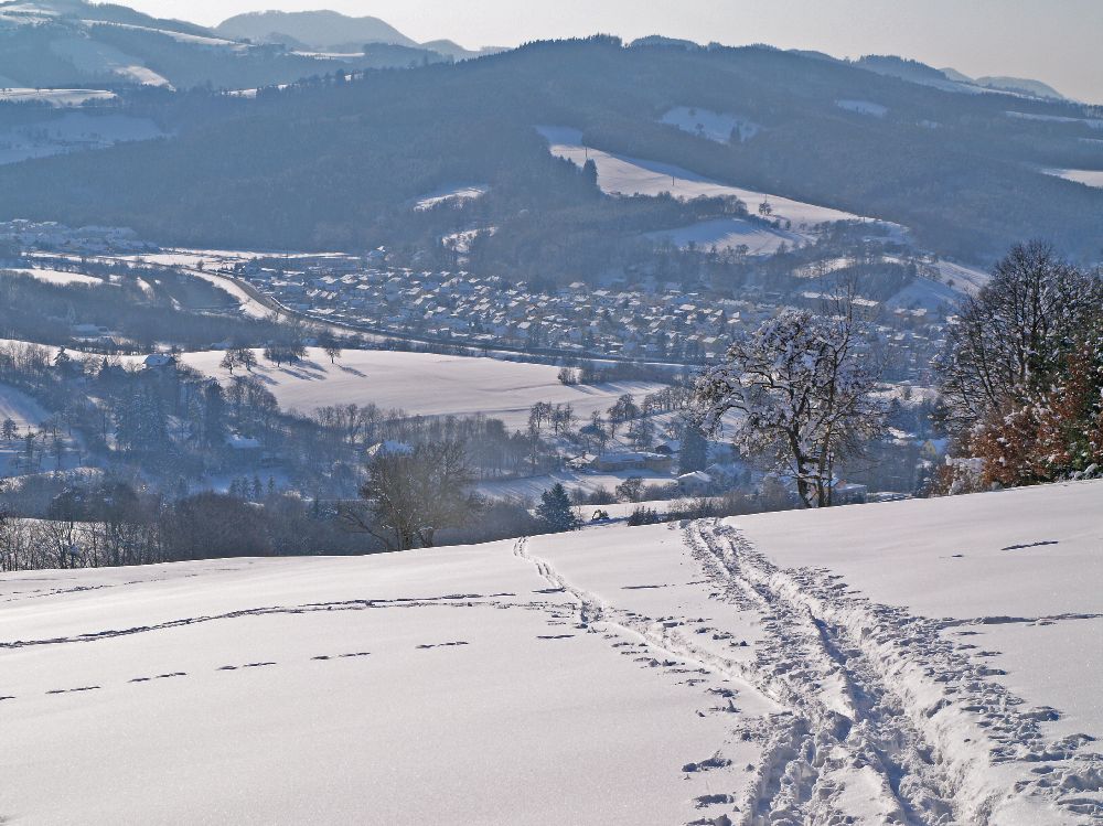 Rudolfshöhe (240 Bildaufrufe)