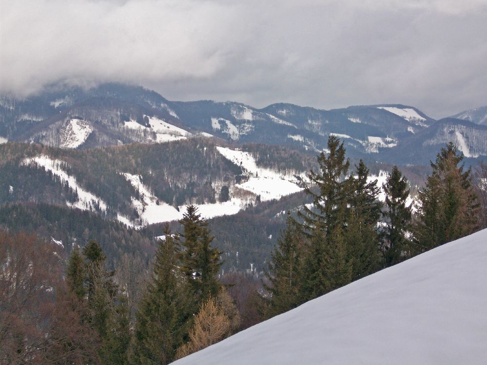 Eibl (300 Bildaufrufe)