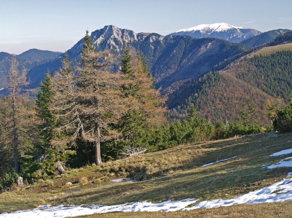 Gippel, G&ouml;ller (254 Bildaufrufe)