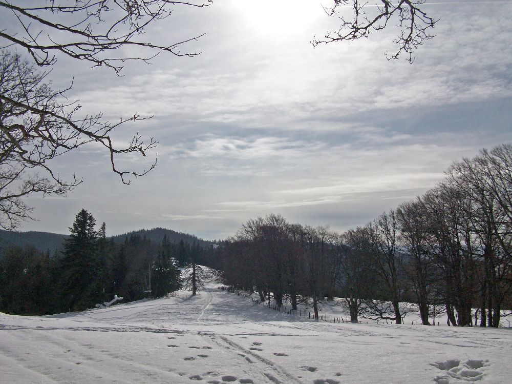 Geißenberg (393 Bildaufrufe)