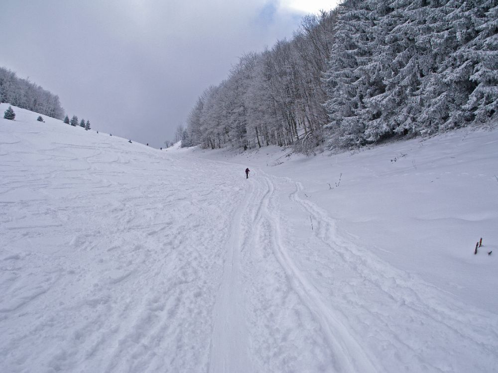 Hinteralm (297 Bildaufrufe)