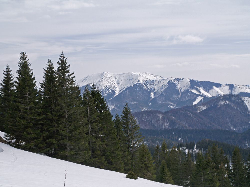 Tirolerkogel (202 Bildaufrufe)