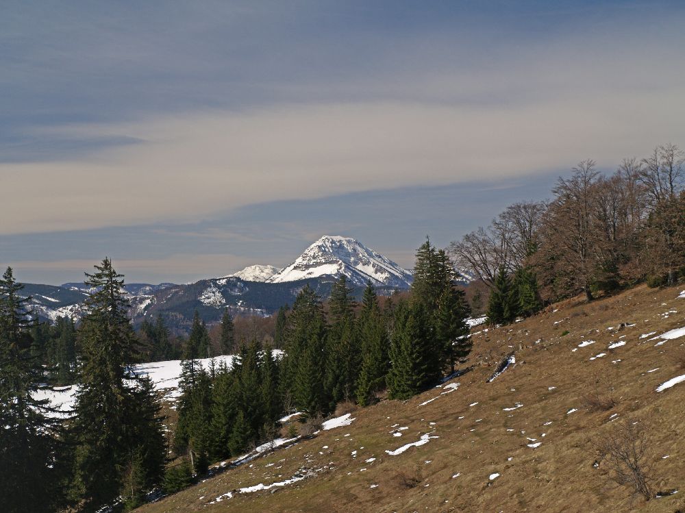 Eisenstein (233 Bildaufrufe)