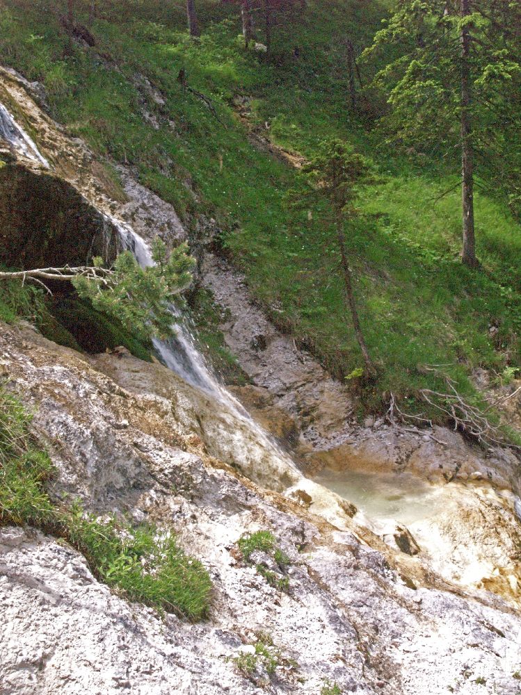 Hirzeck, Dürrenstein (227 Bildaufrufe)