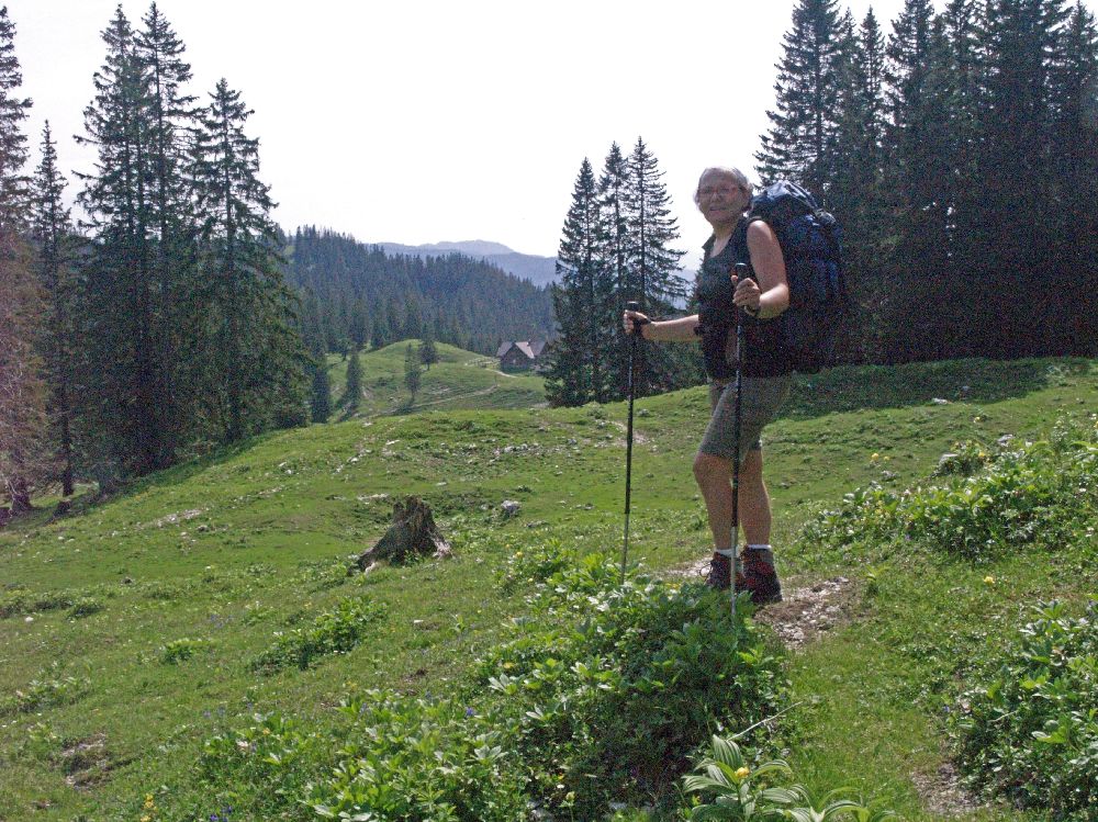 Hirzeck, Dürrenstein (183 Bildaufrufe)