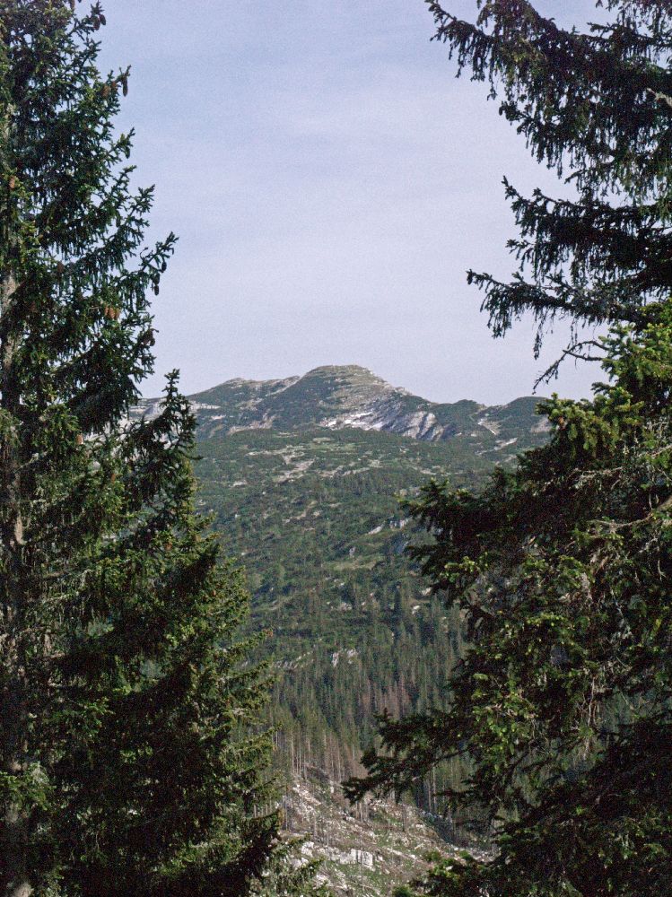 Hirzeck, Dürrenstein (225 Bildaufrufe)