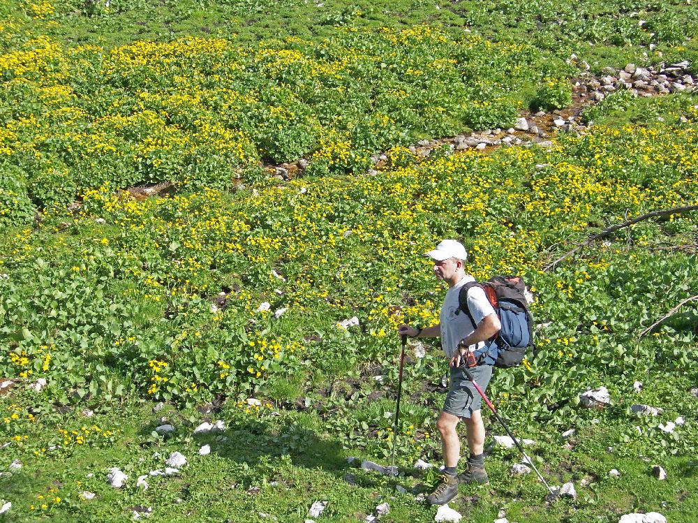 Hirzeck, Dürrenstein (225 Bildaufrufe)