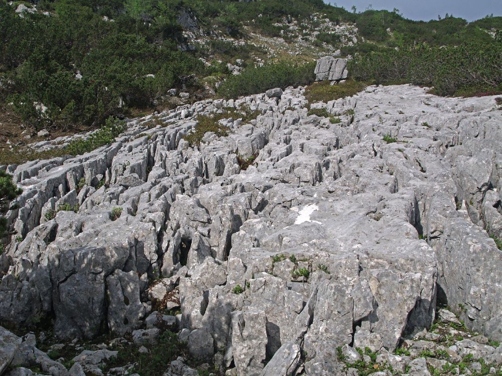 Hirzeck, Dürrenstein (268 Bildaufrufe)