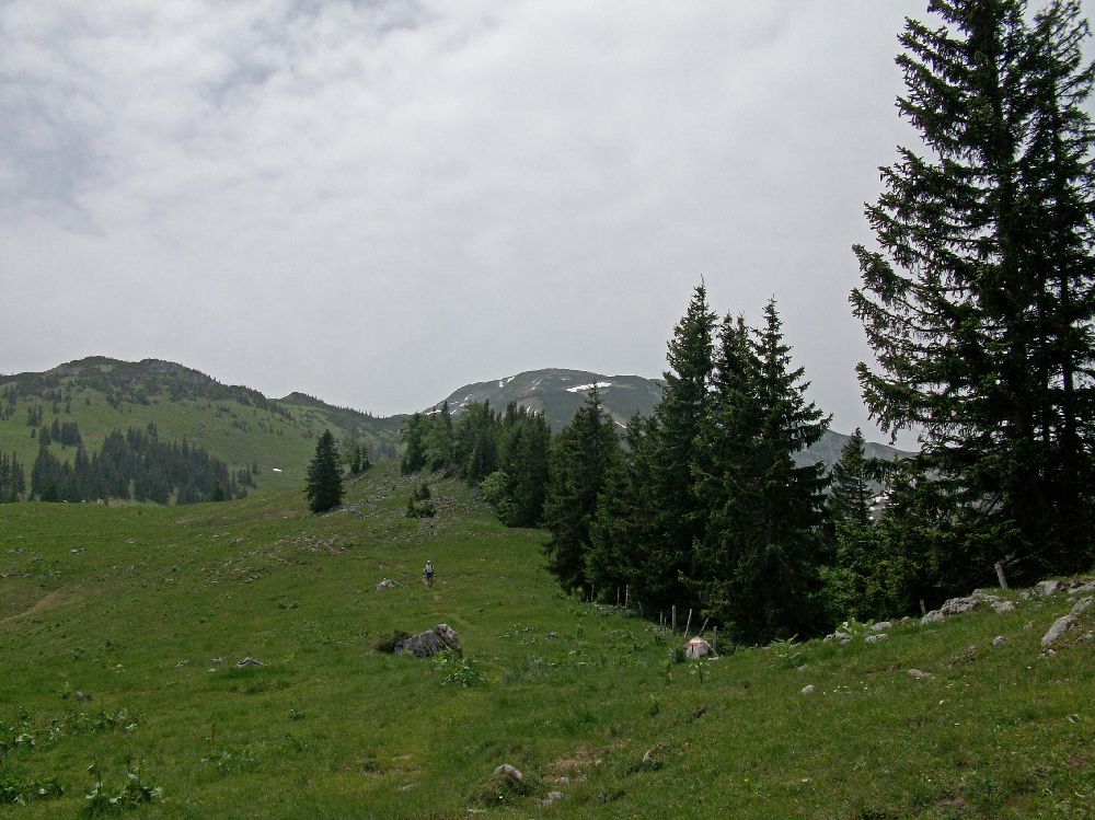 Hirzeck, Dürrenstein (237 Bildaufrufe)