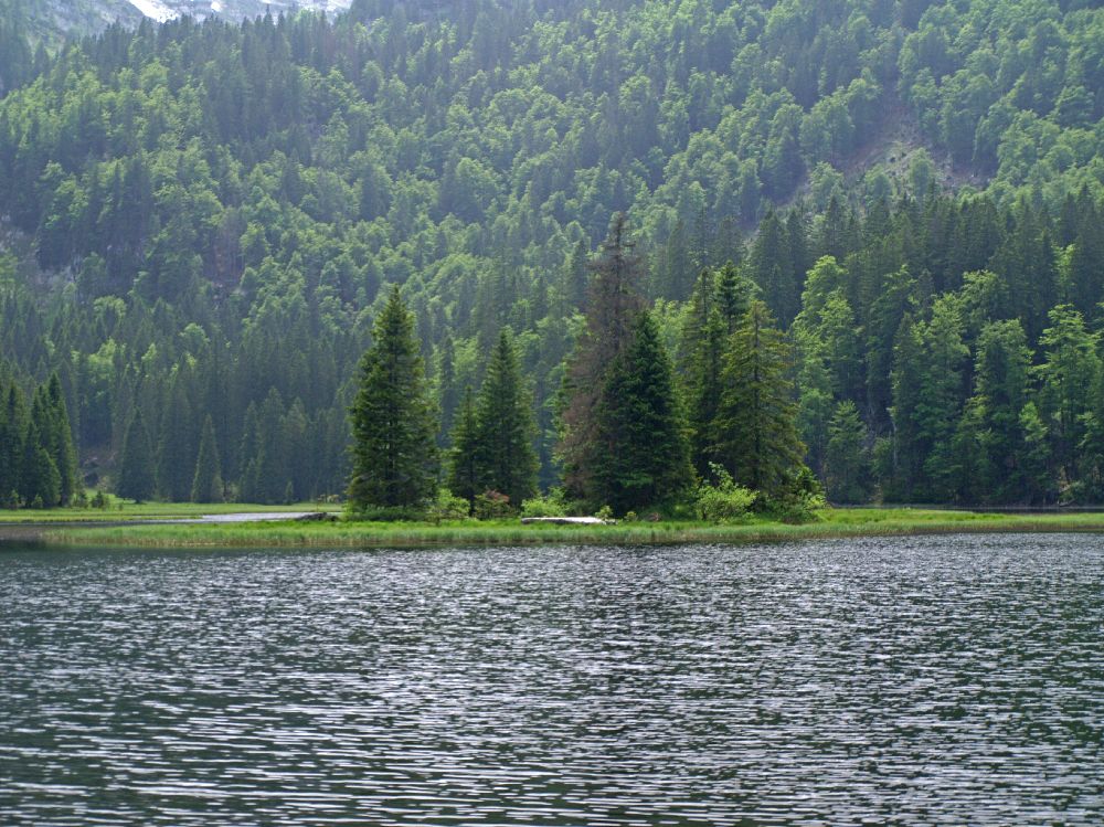 Hirzeck, Dürrenstein (217 Bildaufrufe)
