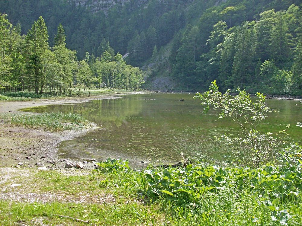 Hirzeck, Dürrenstein (210 Bildaufrufe)