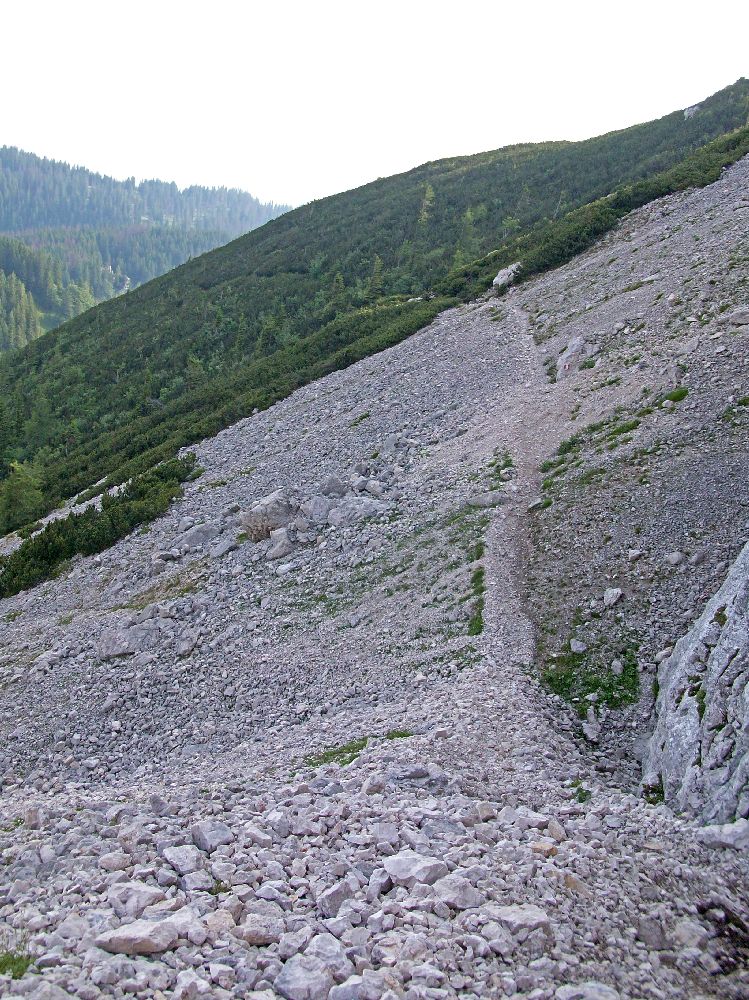 Hoher Nock (253 Bildaufrufe)