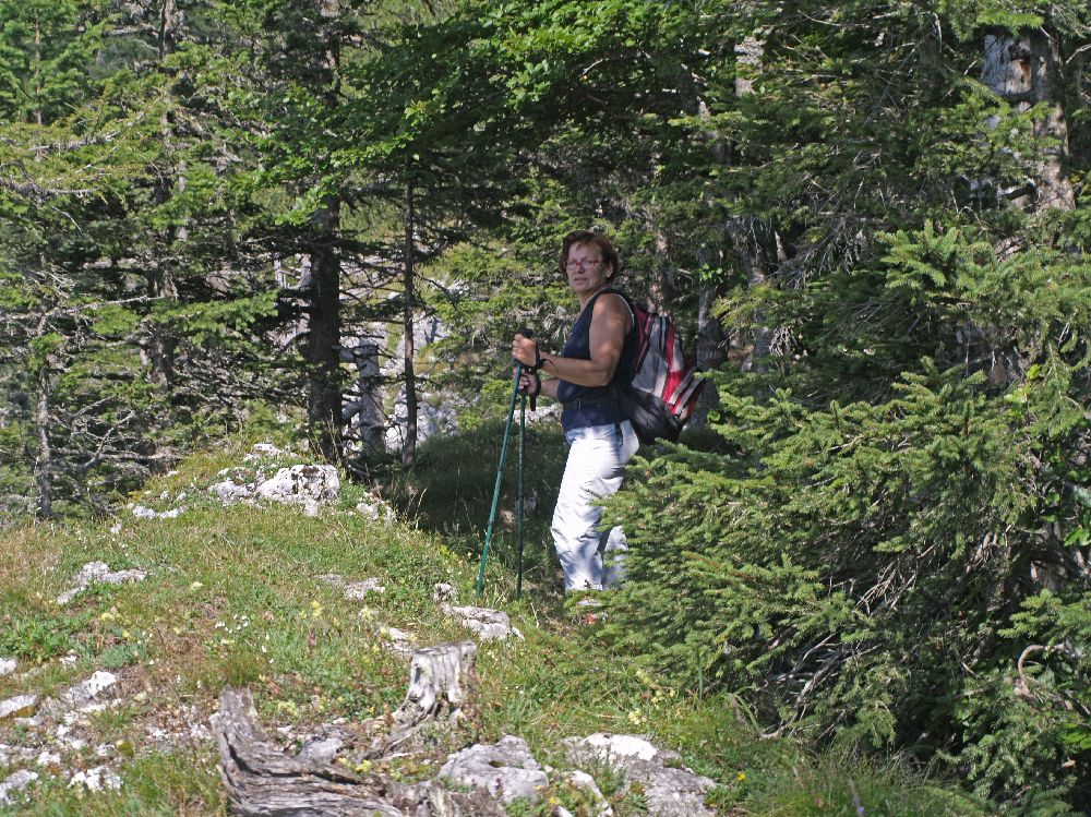 Sauwand (224 Bildaufrufe)