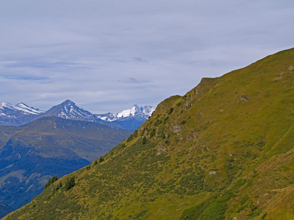Gamskarkogel (260 Bildaufrufe)