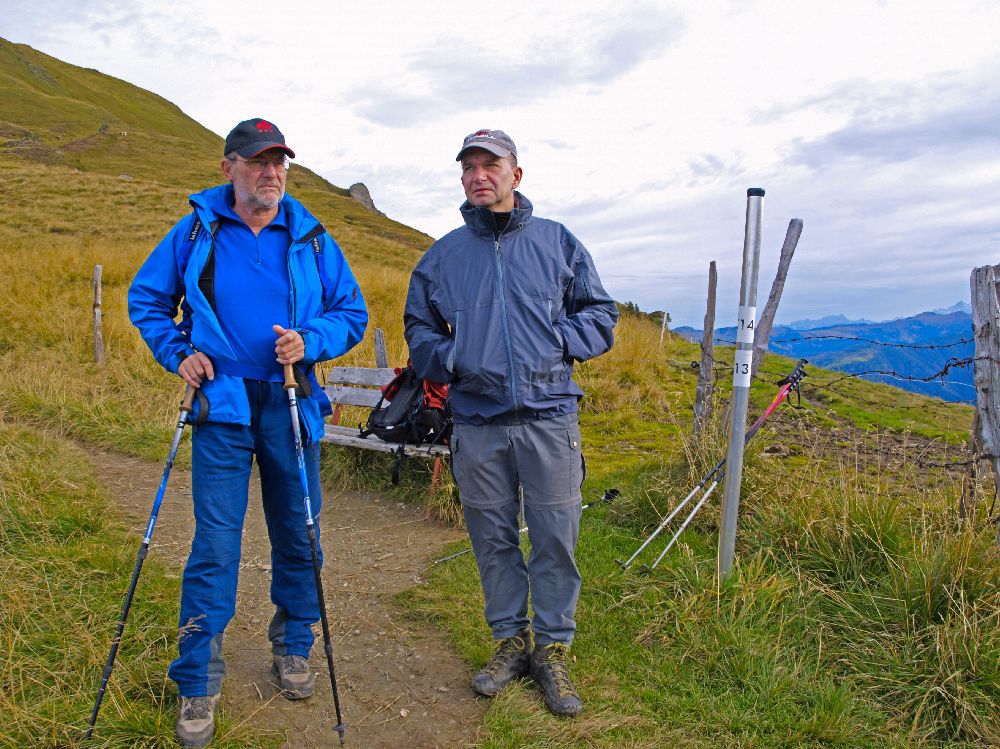 Gamskarkogel (222 Bildaufrufe)