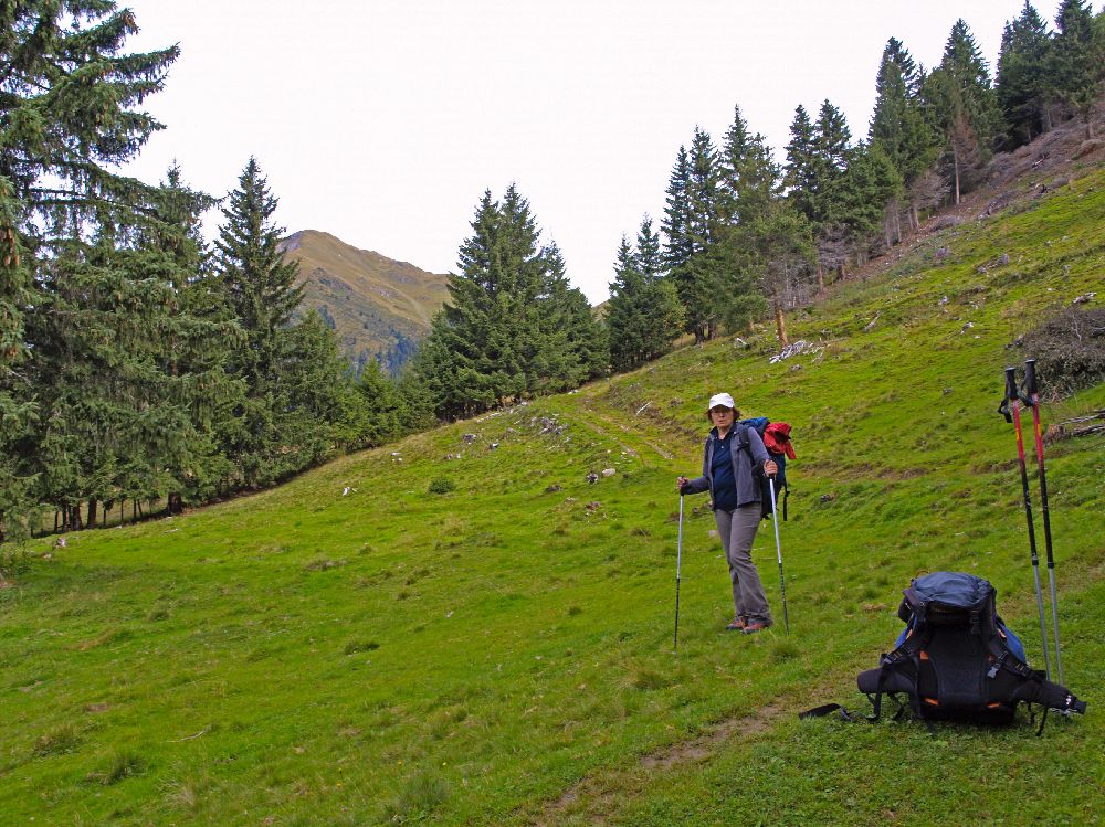 Gamskarkogel (216 Bildaufrufe)
