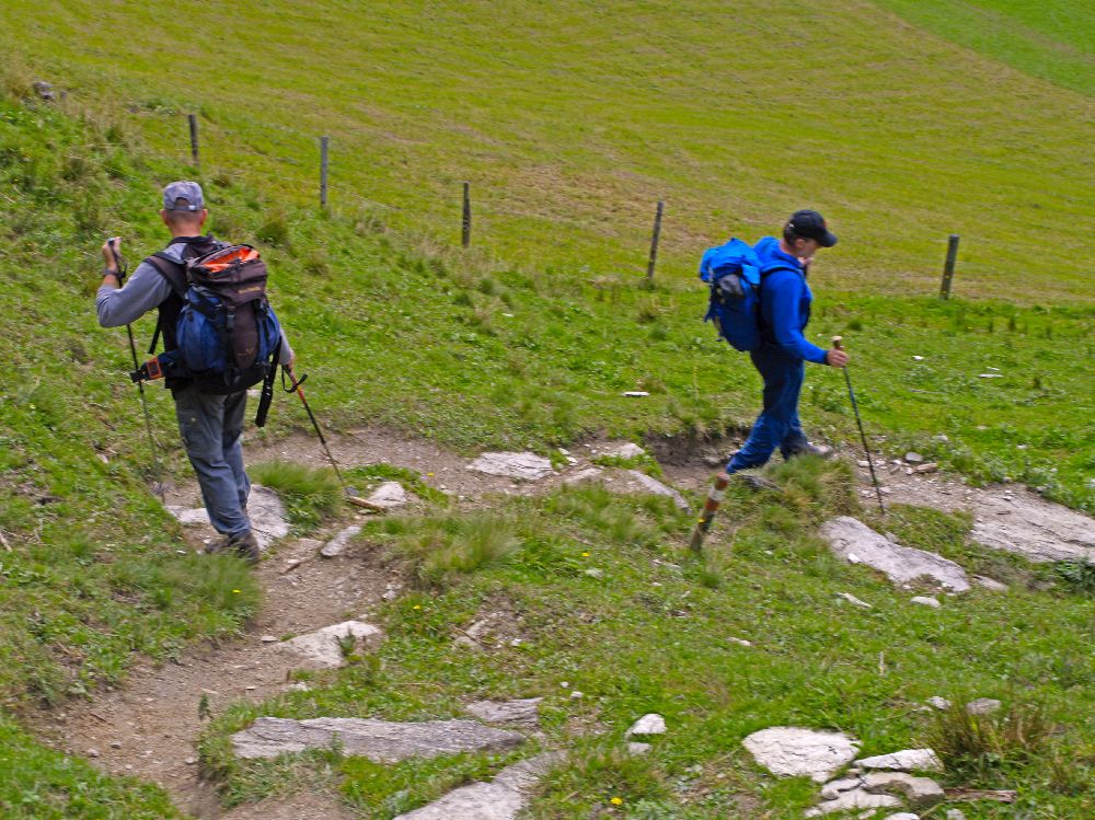 Gamskarkogel (251 Bildaufrufe)